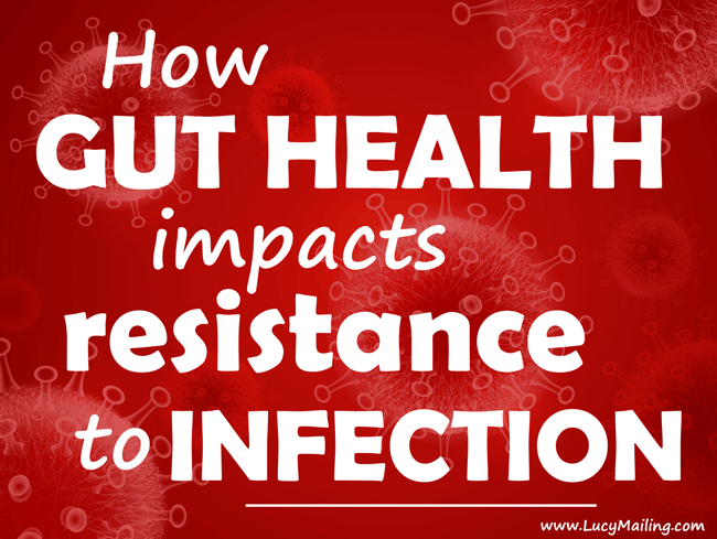 Gut-health_resistance_to_infection