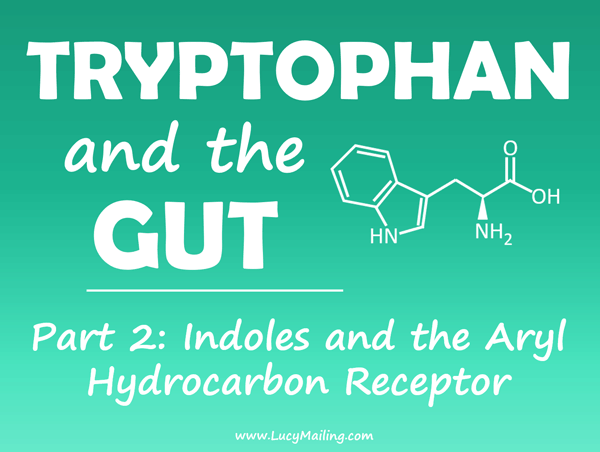 Tryptophan and the gut part 2 - indoles and the aryl hydrocarbon receptor
